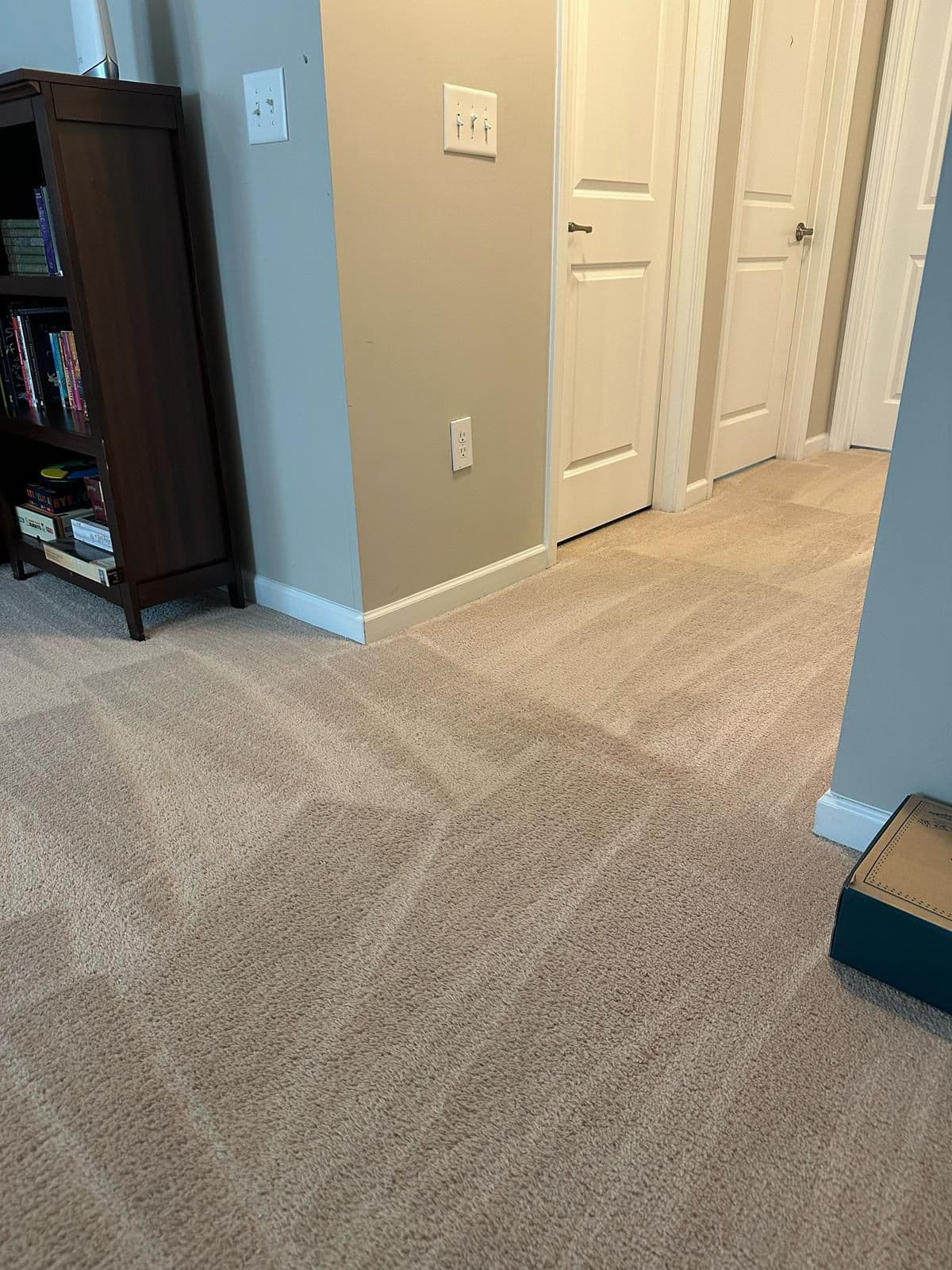 Basic Cleaning Service - Living Area