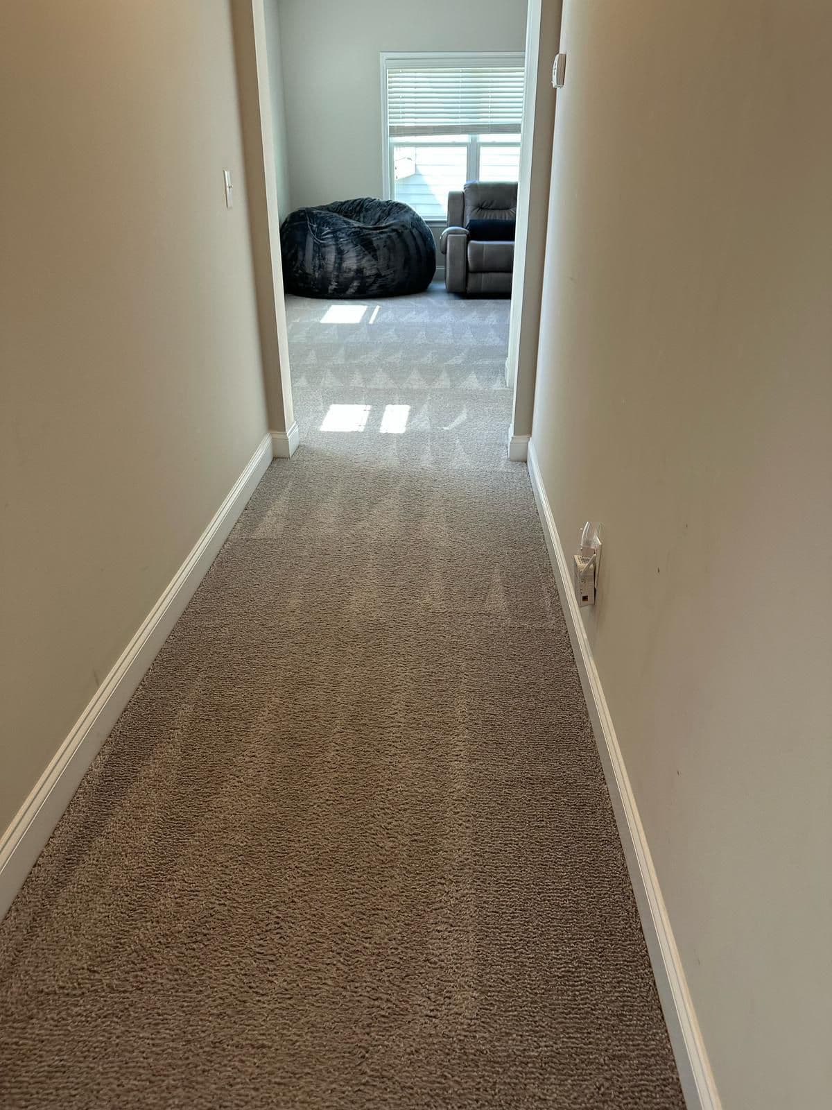 Basic Cleaning Service